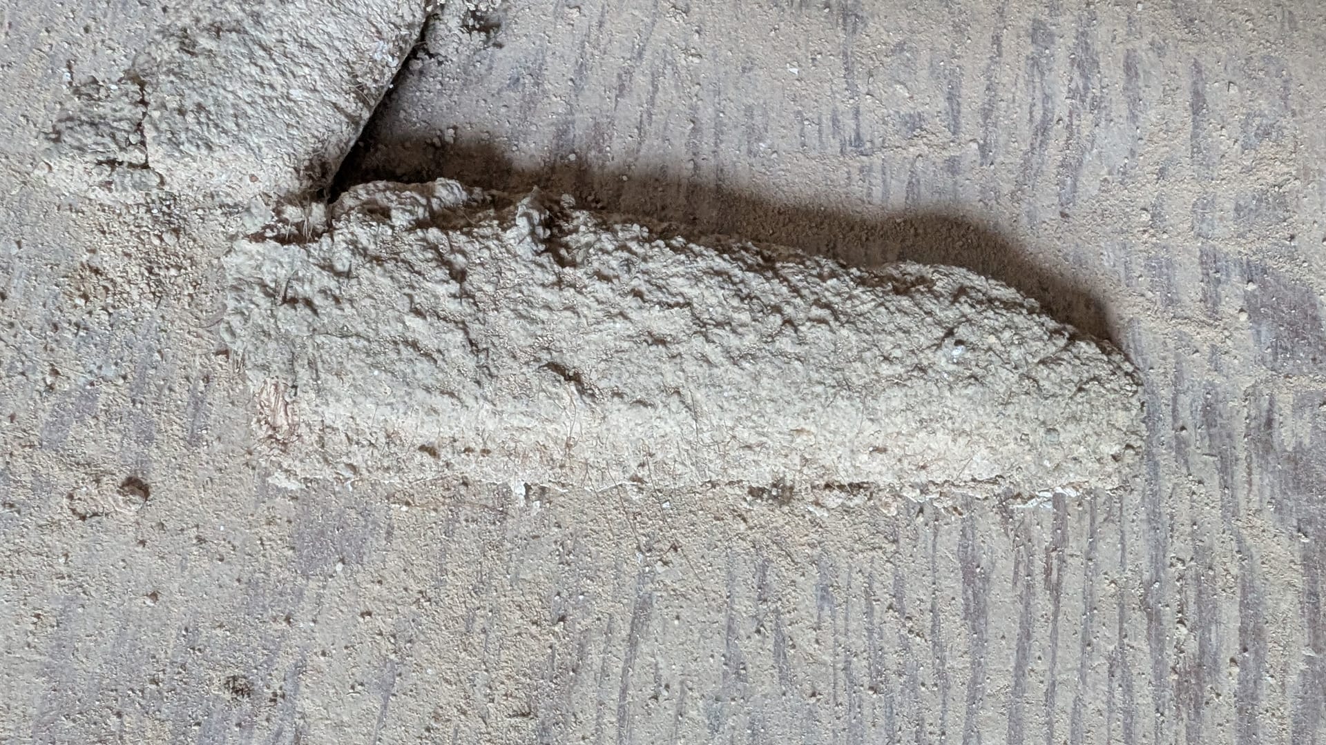 Historic horsehair plaster chunk inspection