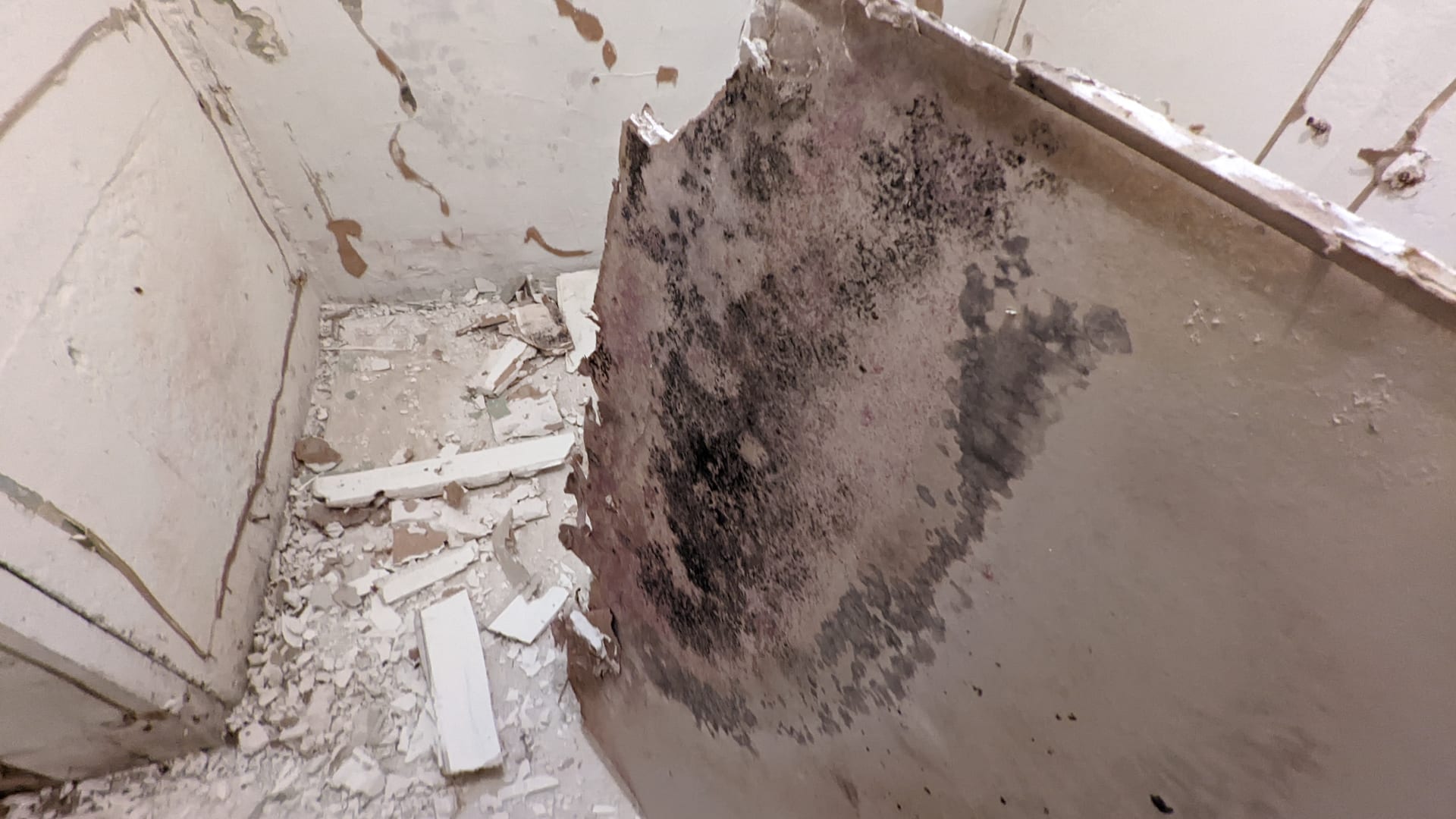 Contaminated Drywall Removal — Controlled removal and disposal of mold-impacted drywall under isolated containment.